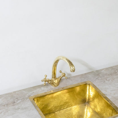 The Gooseneck Brass Faucet