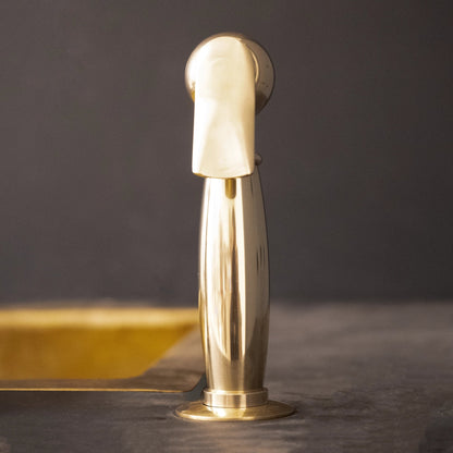 Unlacquered Brass kitchen side sprayer